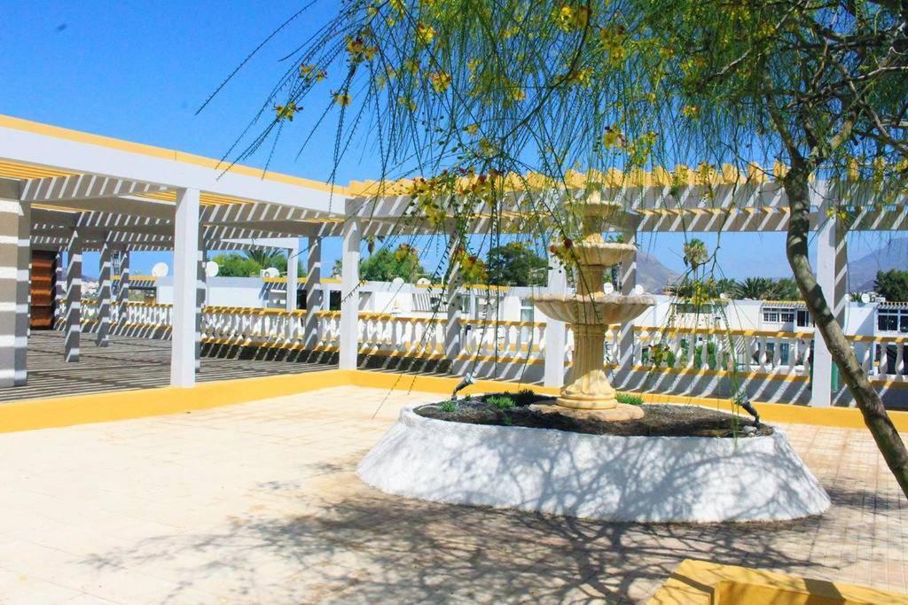 Apartamento Drago Apartment Costa Del Silencio Bagian luar foto