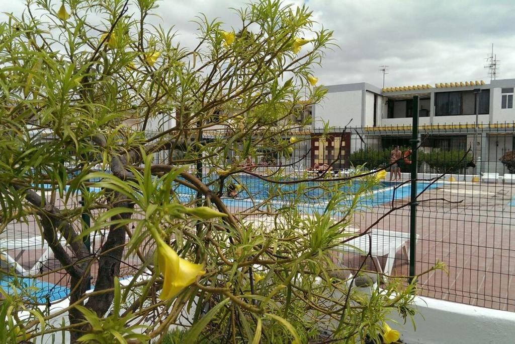 Apartamento Drago Apartment Costa Del Silencio Bagian luar foto